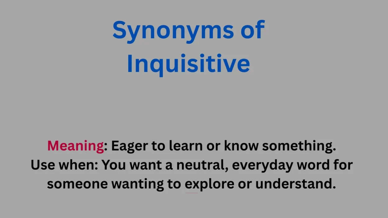 Synonyms of Inquisitive