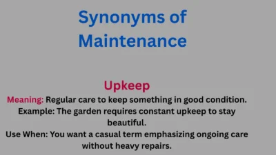 Synonyms of Maintenance