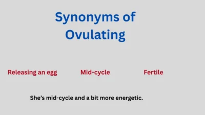 Synonyms of Ovulating in Text