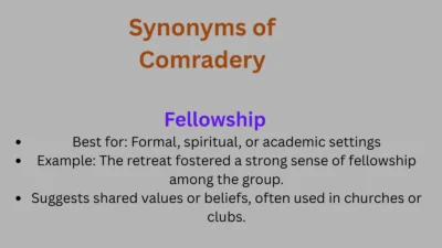 Synonyms of Comradery