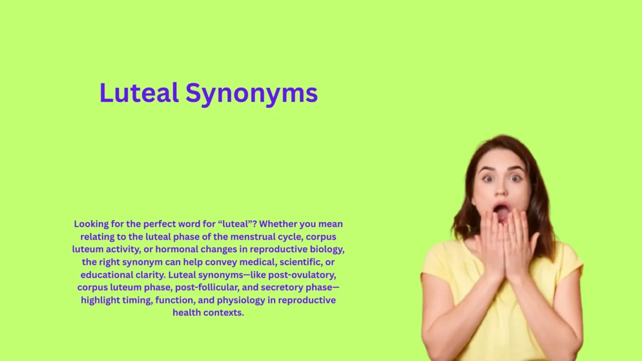 Luteal Synonyms That Explain Menstrual Cycle Phase
