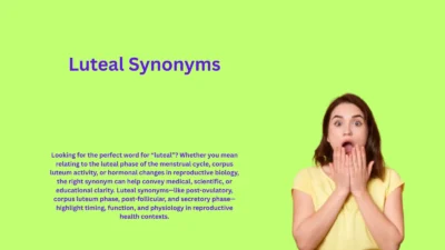Luteal Synonyms That Explain Menstrual Cycle Phase