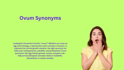 Ovum Synonyms That Explain Female Reproductive Cells