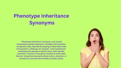 Phenotype Inheritance Synonyms That Explain Genetic Traits