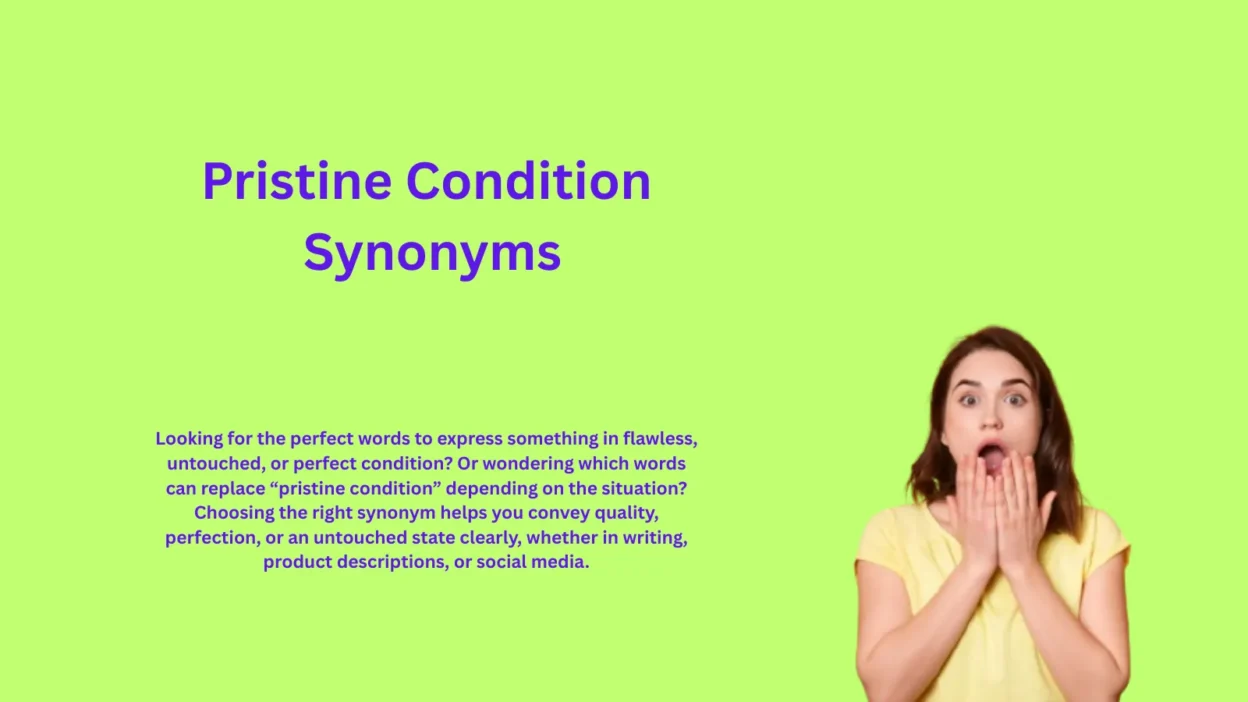 Pristine Condition Synonyms That Convey Perfect Quality